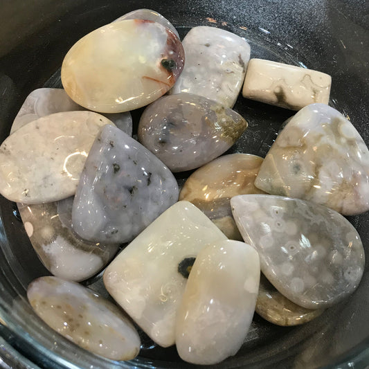 Valtamerijaspis, Hiottu