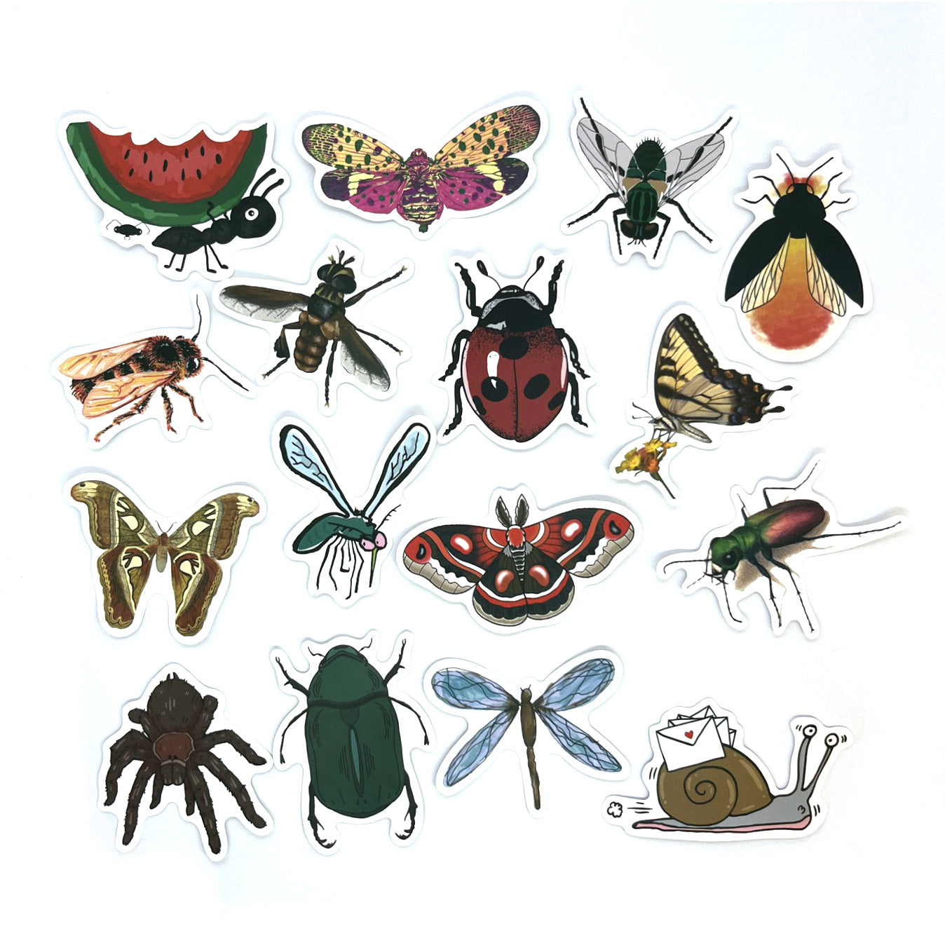 Tarrasetti Bugs