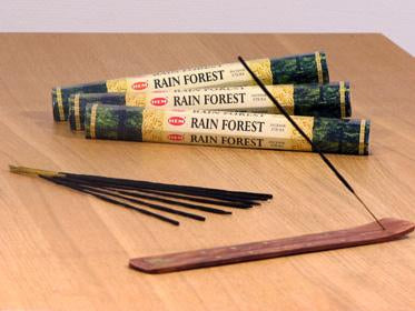 Suitsuke Hem hexa rainforest (sademetsä)