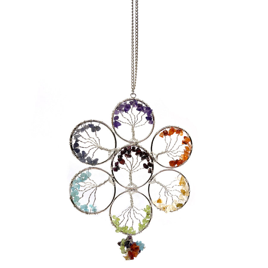 Chakrapuut Aurinkosieppari