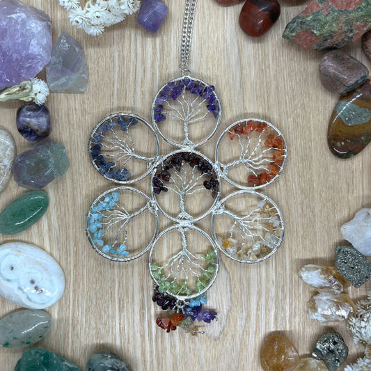 Chakrapuut Aurinkosieppari