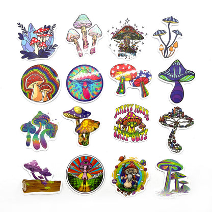 Tarrasetti Mushrooms