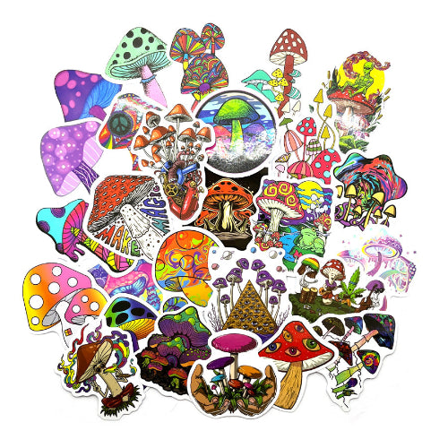 Tarrasetti Mushrooms