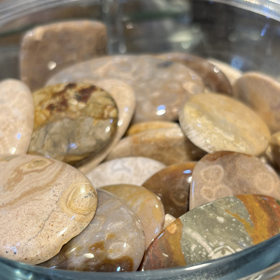 Valtamerijaspis, Hiottu