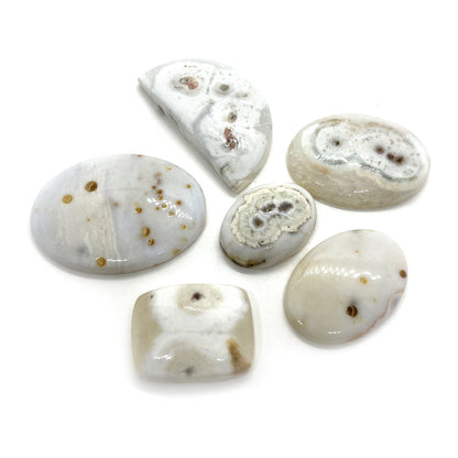 Valtamerijaspis, Hiottu