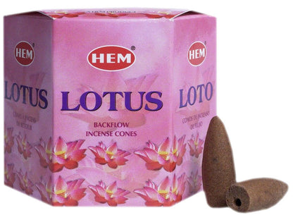 Suitsuke Hem backflow lotus lootus